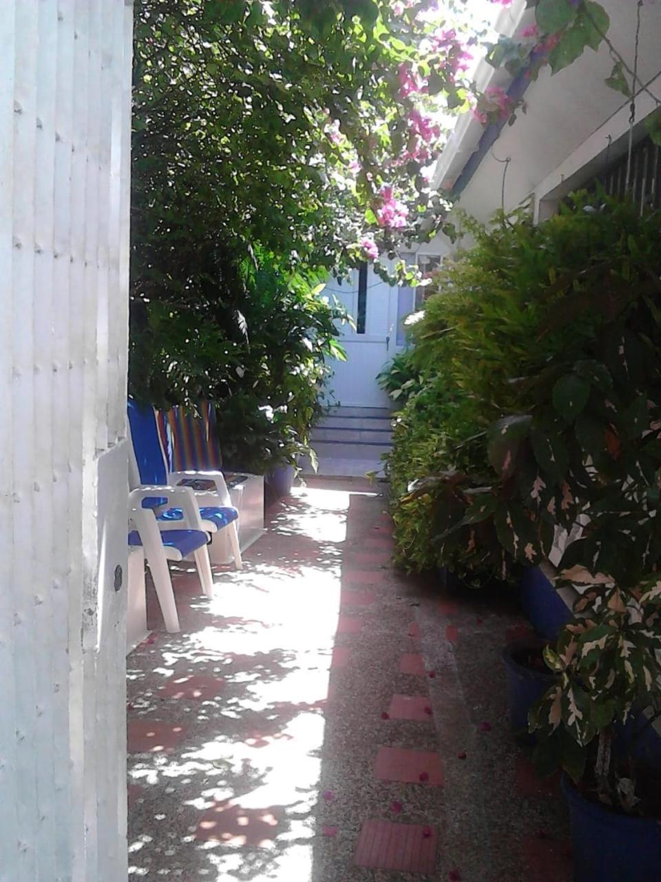 Vianova'S Place Posada Nativa San Andrés Exterior photo