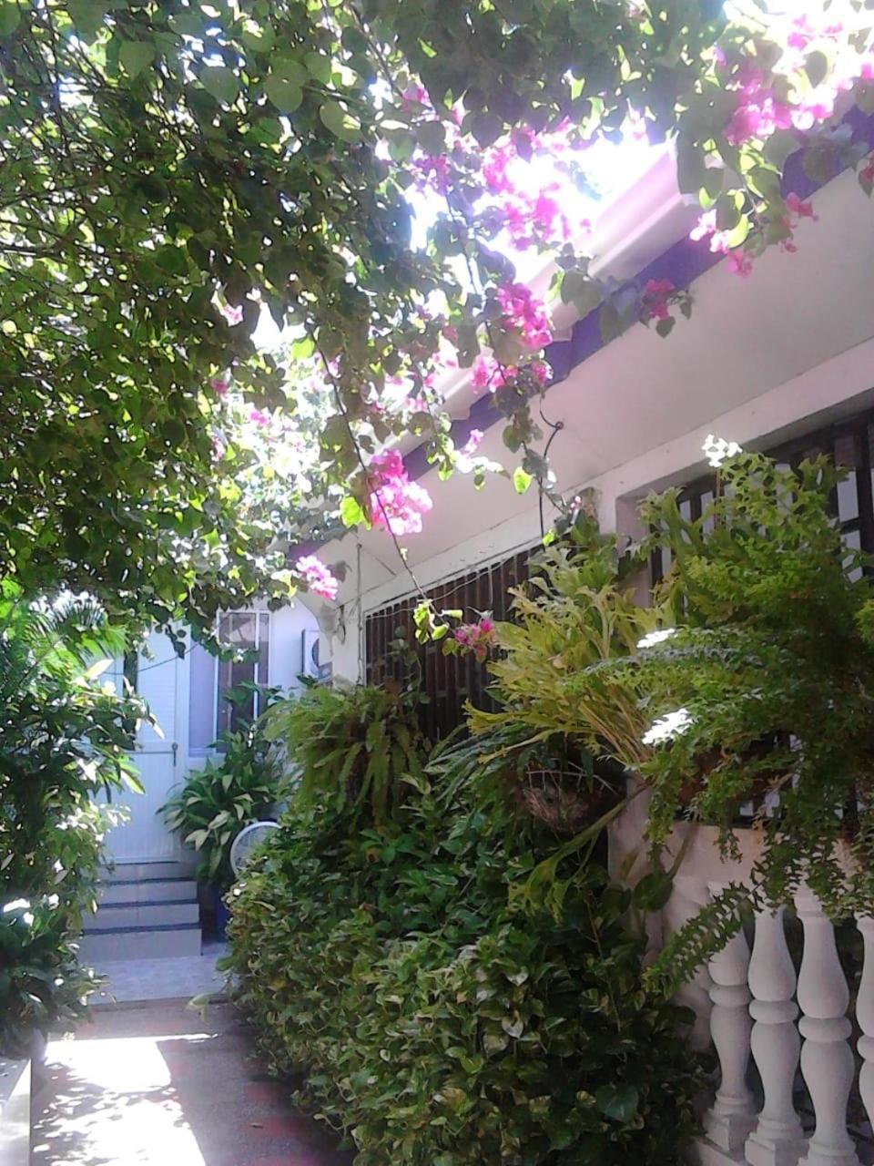 Vianova'S Place Posada Nativa San Andrés Exterior photo